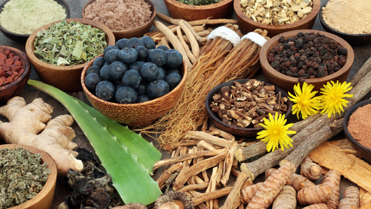 Adapting Wellness: Top Ten Tips for Incorporating Adaptogens into Your Diet for Stress Management and Skin Health